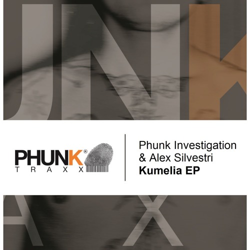 Phunk Investigation & Alex Silvestri_Kumelia