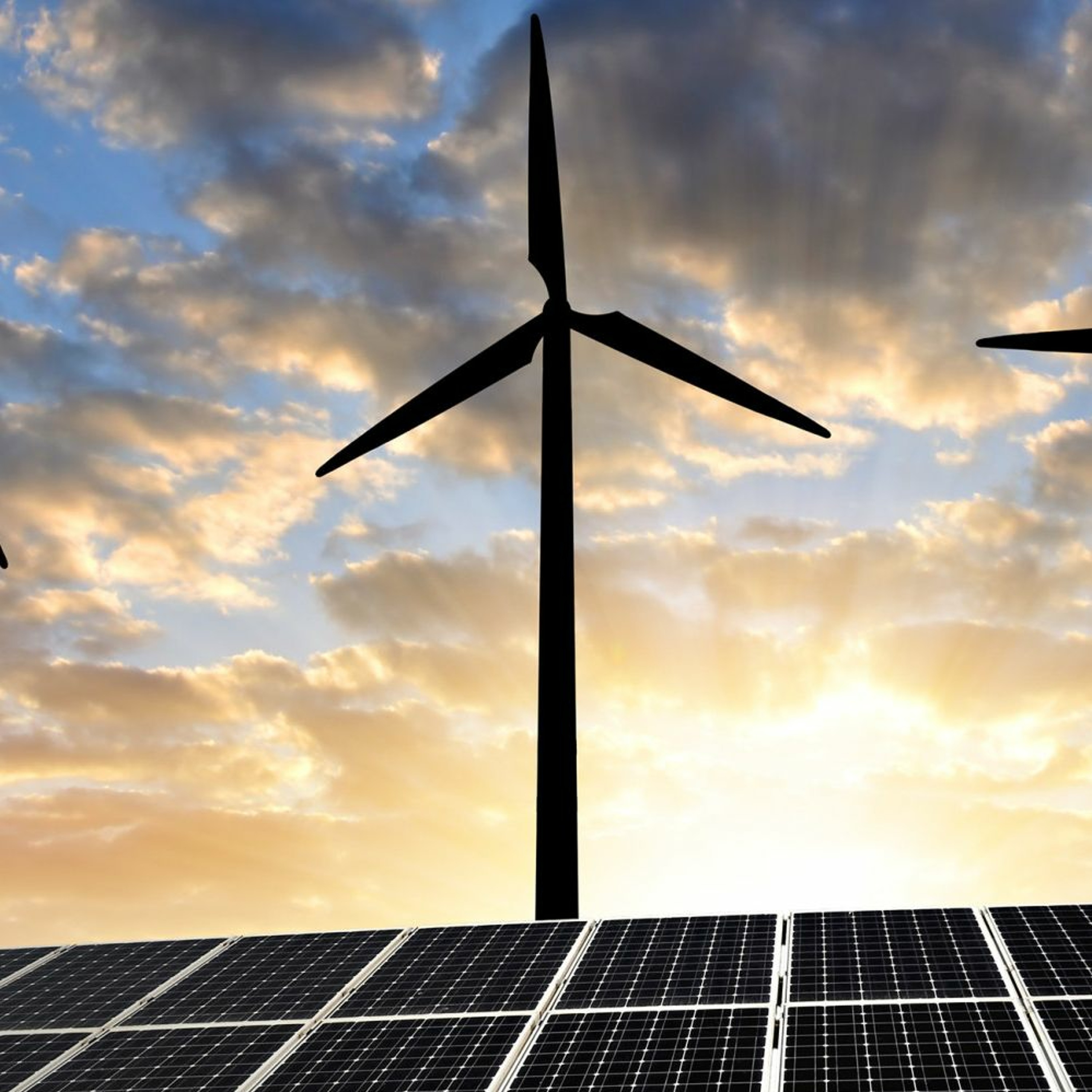 Marc Griffiths blockchain developer with Power Ledger on their partnership with City of Fremantle
