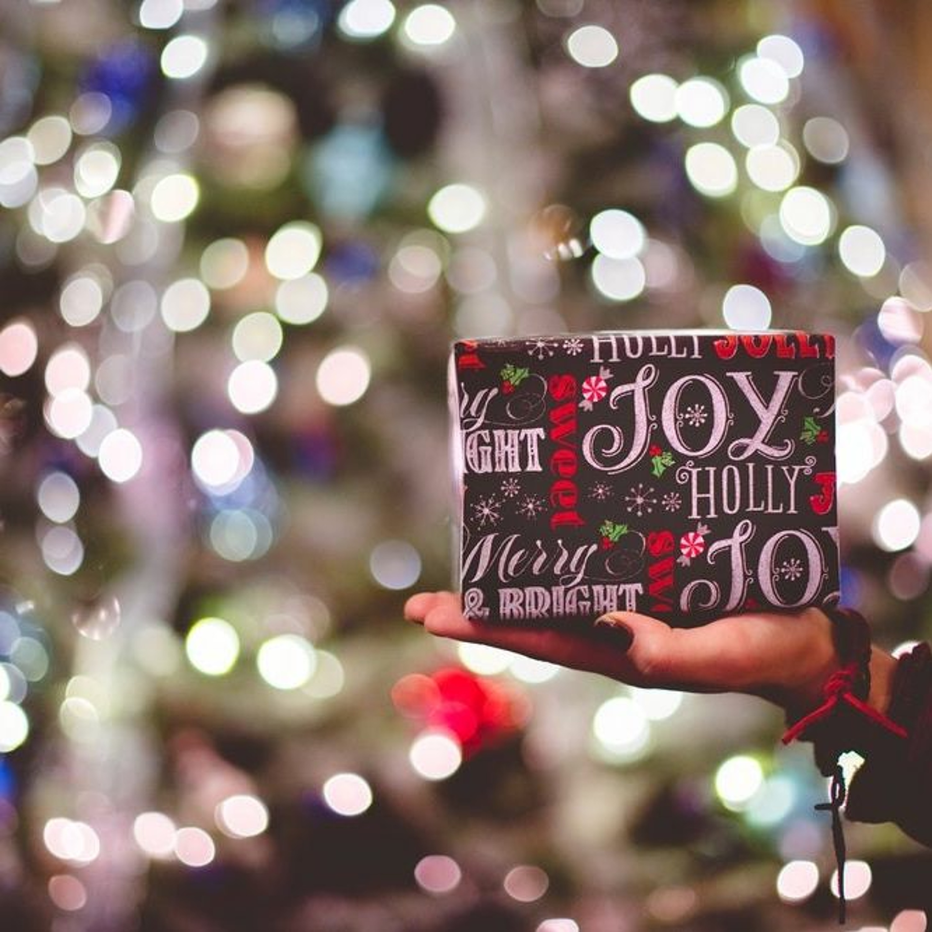 Episode 17: Don’t Let the Holiday Festivities Slow Down your Career Search episode artwork