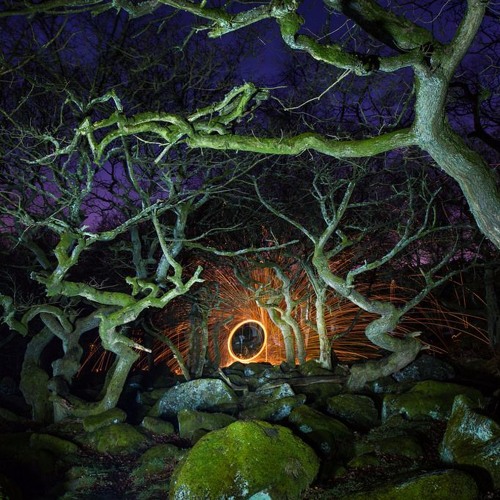 Kamanių Šilelis - Kanarėlės (Edvoo Remix) 150 (FREE WAV DOWNLOAD)