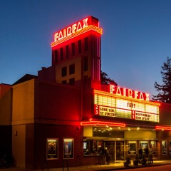 The flowers in Fairfax