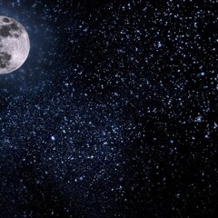 hold it down ft quin