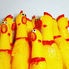 Shrilling Chicken