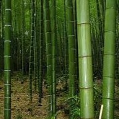 循環
