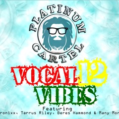 VOCAL VIBES 12 Mixed By Chalice Nya