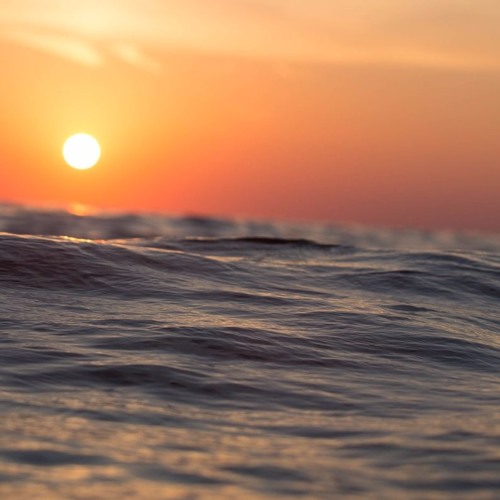 589nikola - Vampire Diaries 1x04 - Fallout ( Sofi Bonde )