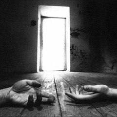 iSAiAH AND EzEKiEL - whiTe RaBbit (liVe)