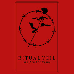 Ritual Veil - All Black