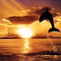 Bora Bora Sunset 3