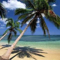 THE COCONUT CANT GROW IN AOTEAROA – ft THE PRODUCT NZ