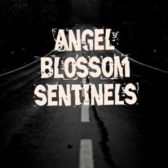 Angel Blossom Sentinels_Change Termination