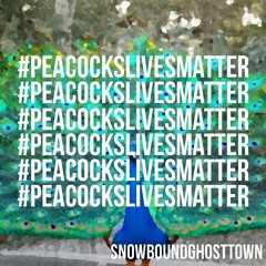 #peacockslivesmatter