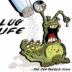 08 MOTION OF THE OCEAN