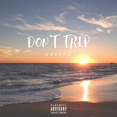 Wayvez - Don't Trip