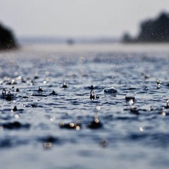 rainy daze