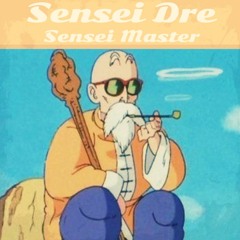 SENSEI MASTER
