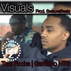 Trae Flocka | Gambino NTG  | Visuals | Prod. SwauvaBeatz