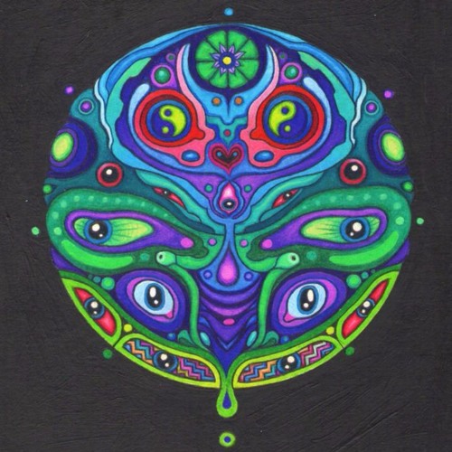 Bass in your Face
