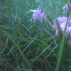 1 More baby (Make Me feel)