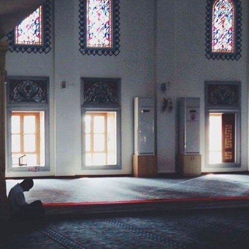 وَقَالُوا لِجُلُودِهِمْ لِمَ شَهِدتُّمْ عَلَيْنَا | أحمد حمادي