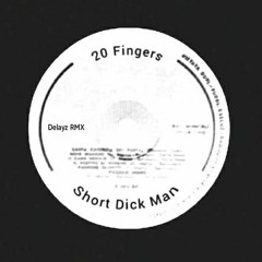 20 Fingers - Short Dick Man(Delayz Remix)**Click BUY for FREE DL**