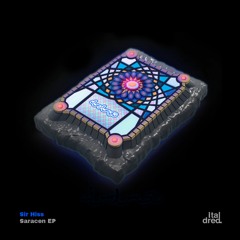 Vinyl Bag 3