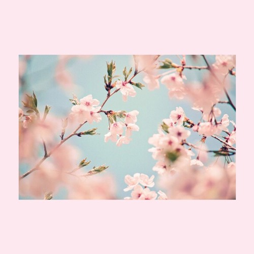 Ｓｏ, ｗｈｙ？[sp-live]