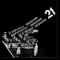 Trisomie 21 - Le Repos Des Enfants Heureux LP (snippets)