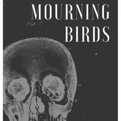 Hi-Fi Curious - show 122