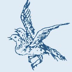 the birds (demo)