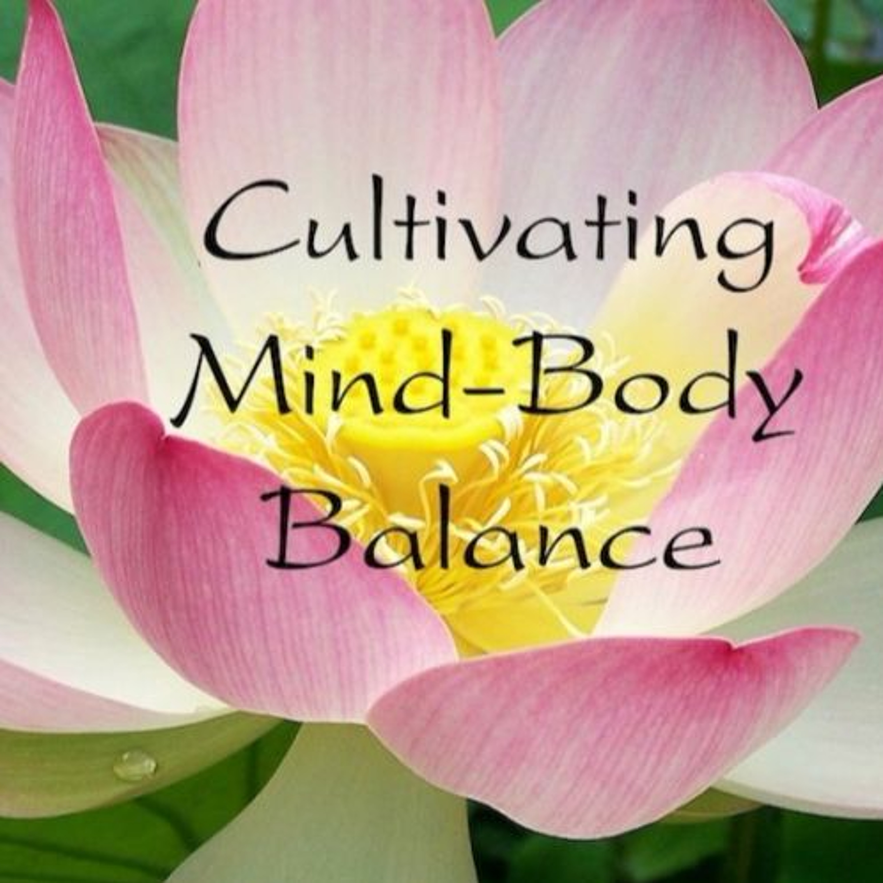 Cultivating  Mind-Body Balance (Extended Version) episode artwork