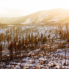 6 - The Role of Our Grief 2: Connecting Us to the Larger Self