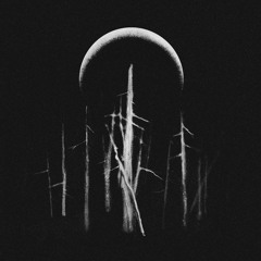 CLANN - The Faerie Court Under Moon