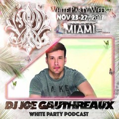 WHITE PARTY MIAMI :: Joe Gauthreaux's Mixdown 11.17