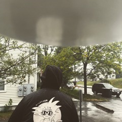 MAPLE LEAVES & TREES