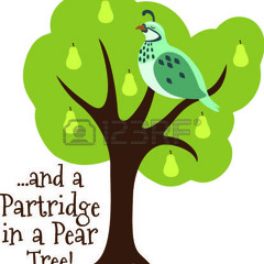 Partridge In A Pear Tree
