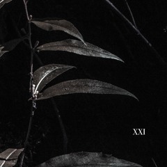 XXI Best music ever made