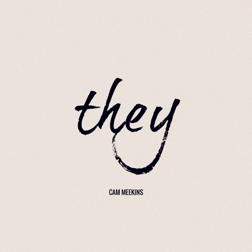 They (prod. Cam Meekins)