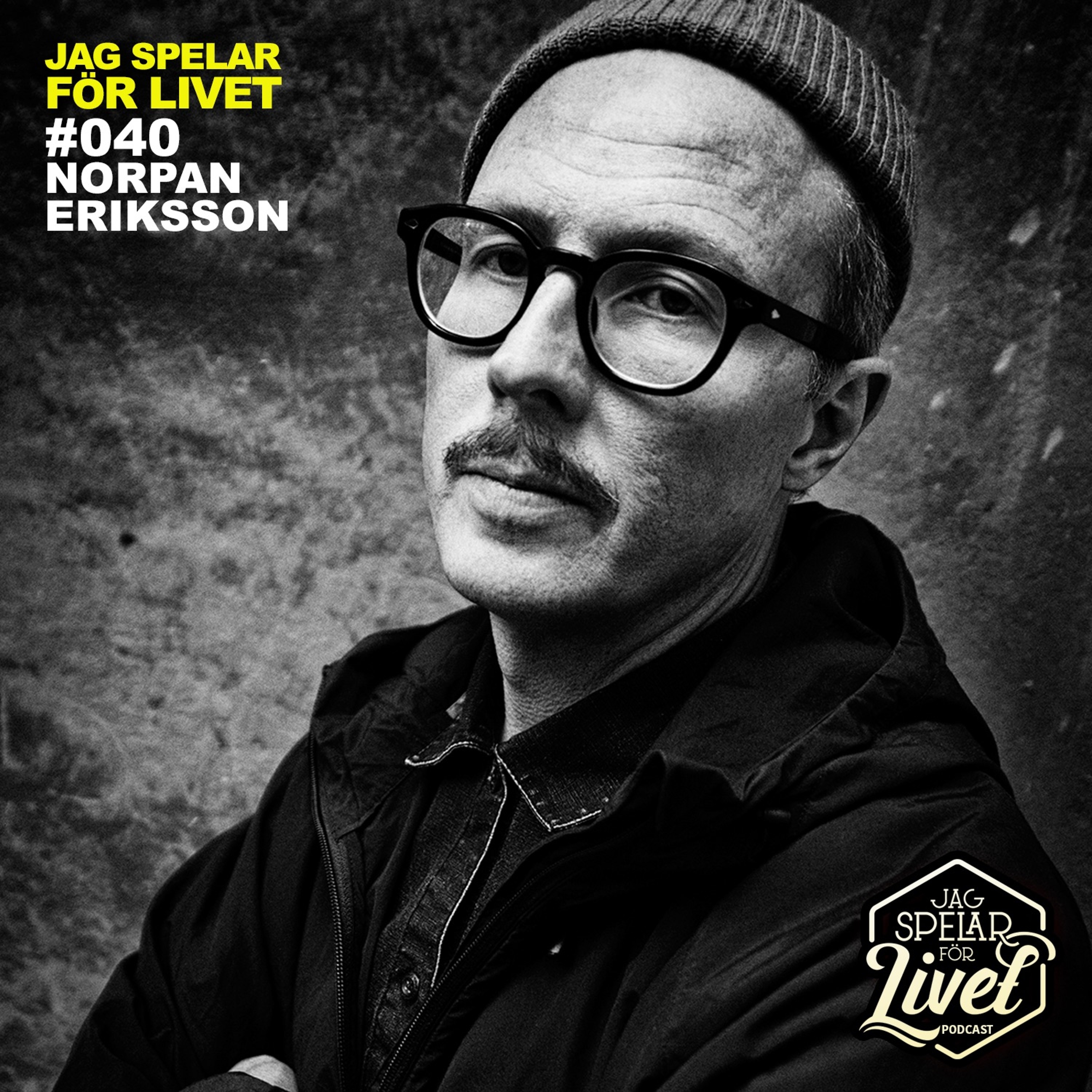 Jag Spelar för Livet - Musiker om Musik