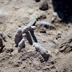 Cam $ol0 + Buice + Dirty Laundry Boy ~ Mummy's Tomb (prod. DLB)