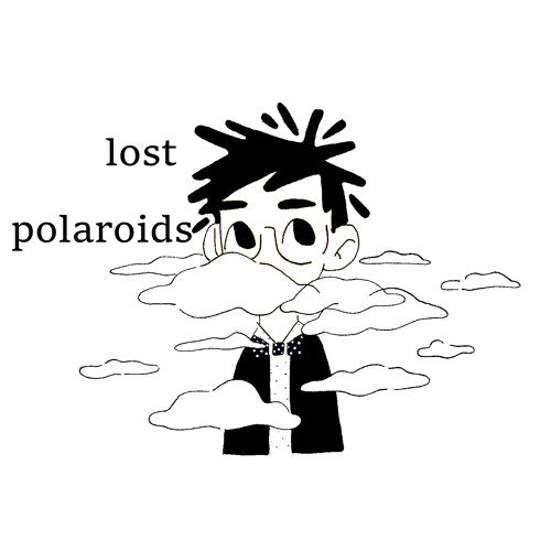 lost polaroids