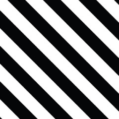 L I M I T E D  E D I T I O N (PREVIEW)(FREE)(SOLD)