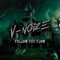 V - Noize - Follow The Flow (Original Mix)