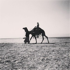 DJ Anwarotti - Traveling Without Moving Vol. 2