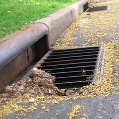 I Found this Song in the Storm Drain