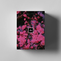 Dez Wright - Blossom Loop Kit