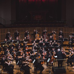 Bruckner: Symphony No. 3 (1873) Mvt I - Musician Project Orchestra - Max McBride