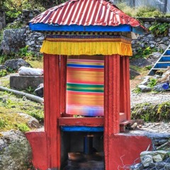 flower symphony - 2nd mvt excerpt