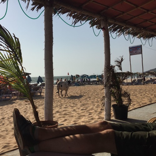 After summer comes GOA +145BPM  ॐ WOOS