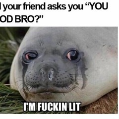 GrindingNemoPart2WithSOmeShit